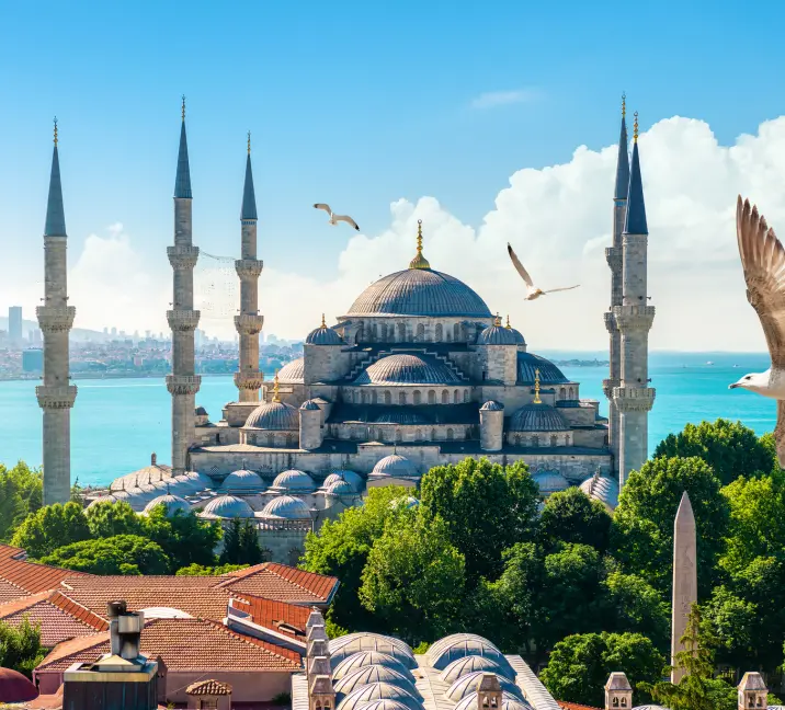 Breathtaking view of the Blue Mosque with its six minarets, against the backdrop of Istanbul's skyline, surrounded by seagulls in flight.