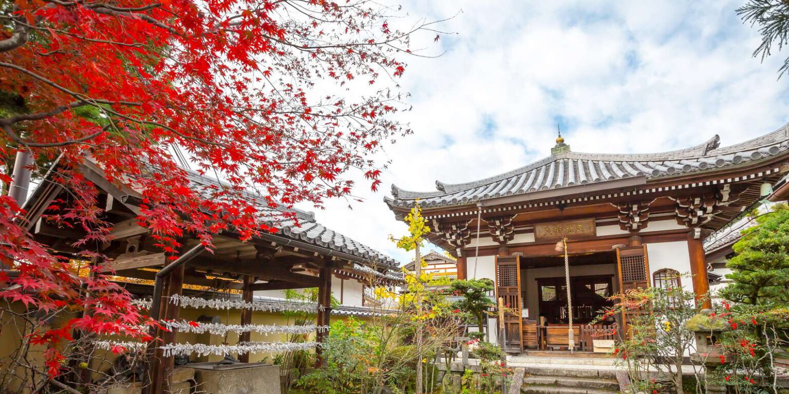 Togetsukyo Bridge and bamboo forest in Arashiyama with Fushimi Inari Shrine torii gates and Kinkakuji Golden Pavilion in Kyoto cultural tour