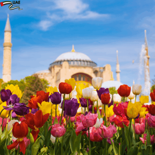 Istanbul Escape – UAE National Day Special
