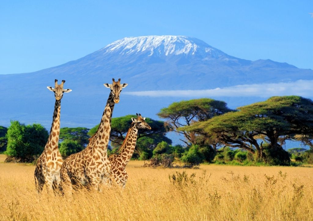 9-day Tanzania safari tour including Serengeti, Ngorongoro, and Maasai cultural experience