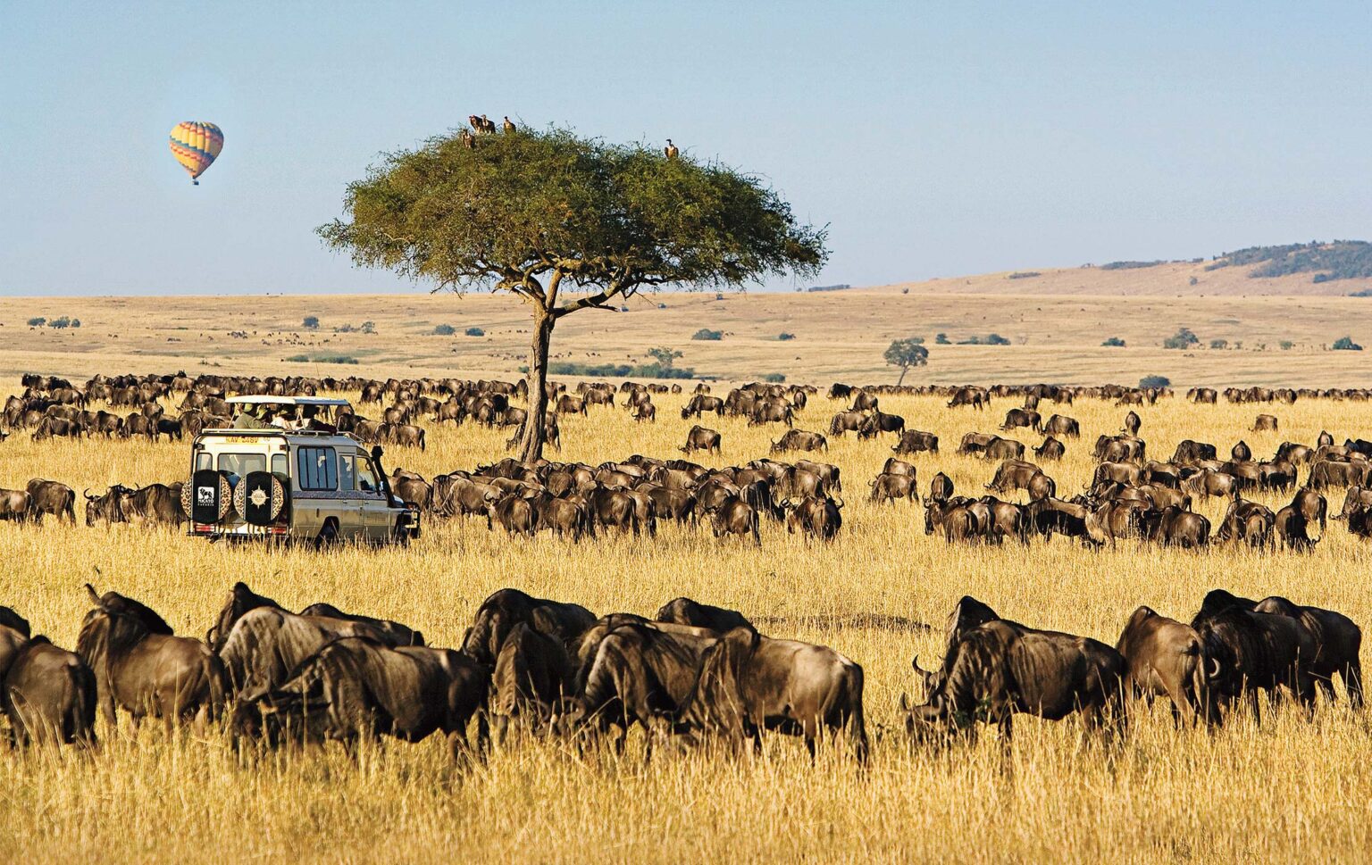 Safari jeep viewing elephants in Maasai Mara – Kenya Safari Tour Package by Garnet Tourism