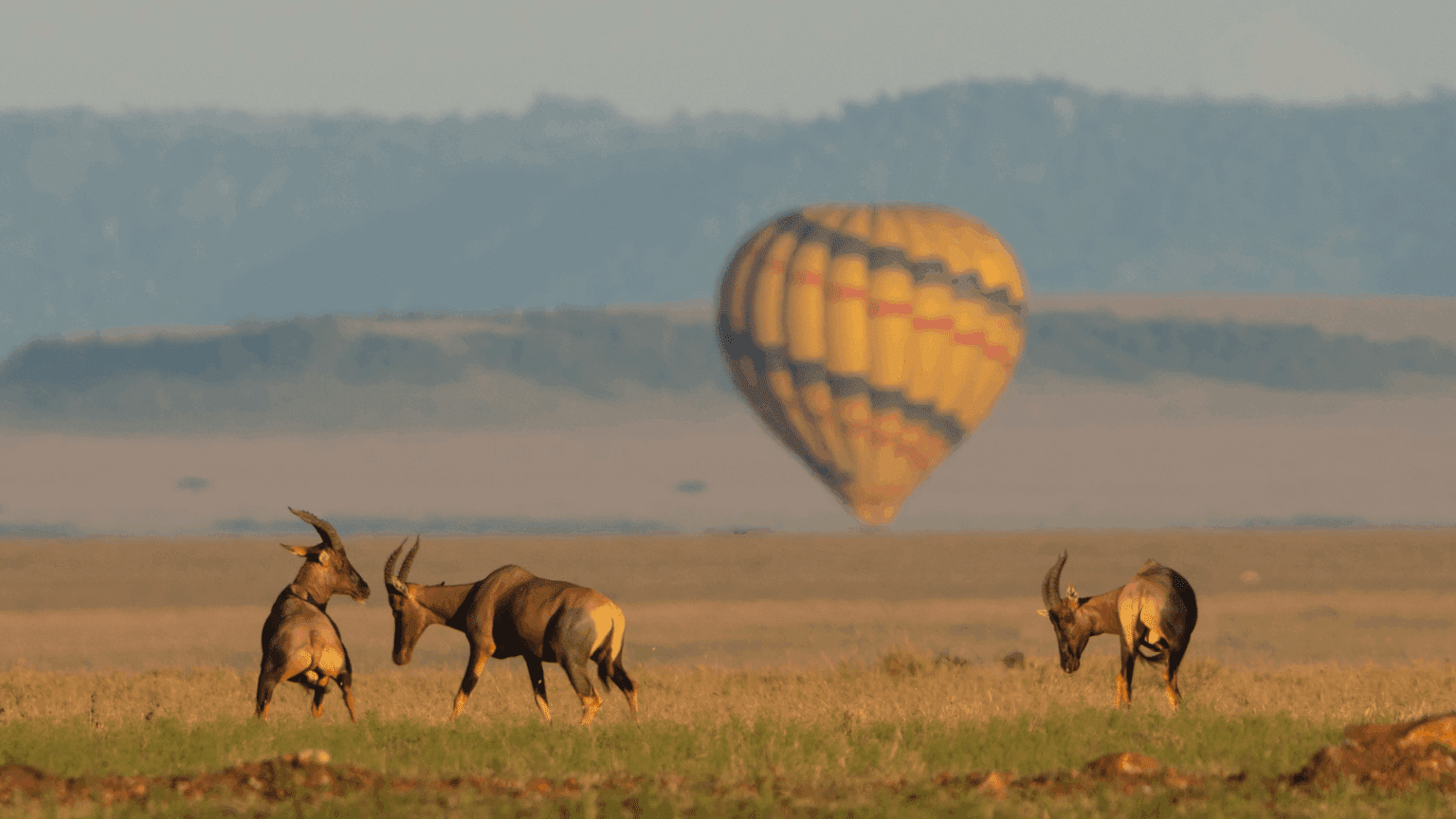 Tanzania Wildlife Adventure – Great Migration January to March