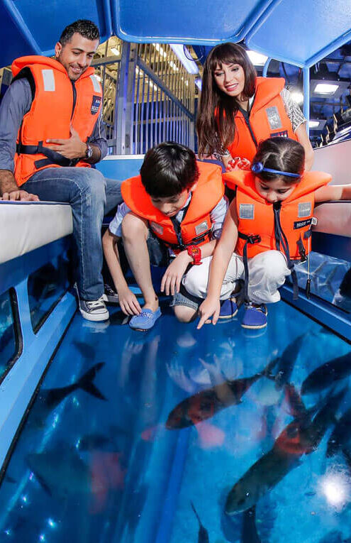 Discover the best UAE activities and experiences with Garnet Tourism.