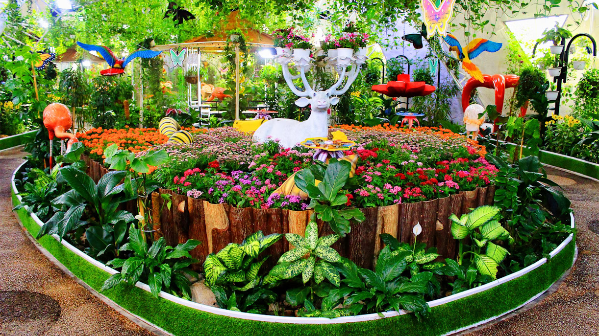 Discover the best UAE activities and experiences with Garnet Tourism.