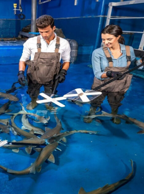 Discover the best UAE activities and experiences with Garnet Tourism.