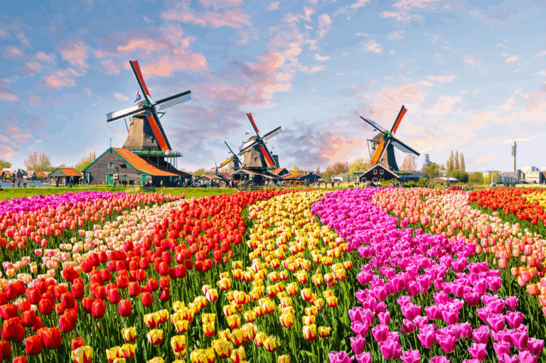 Amsterdam & Paris Holidays tour by garnet tourism