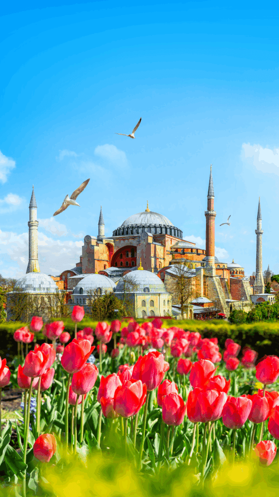Flights from Dubai to Istanbul with Garnet Tourism.