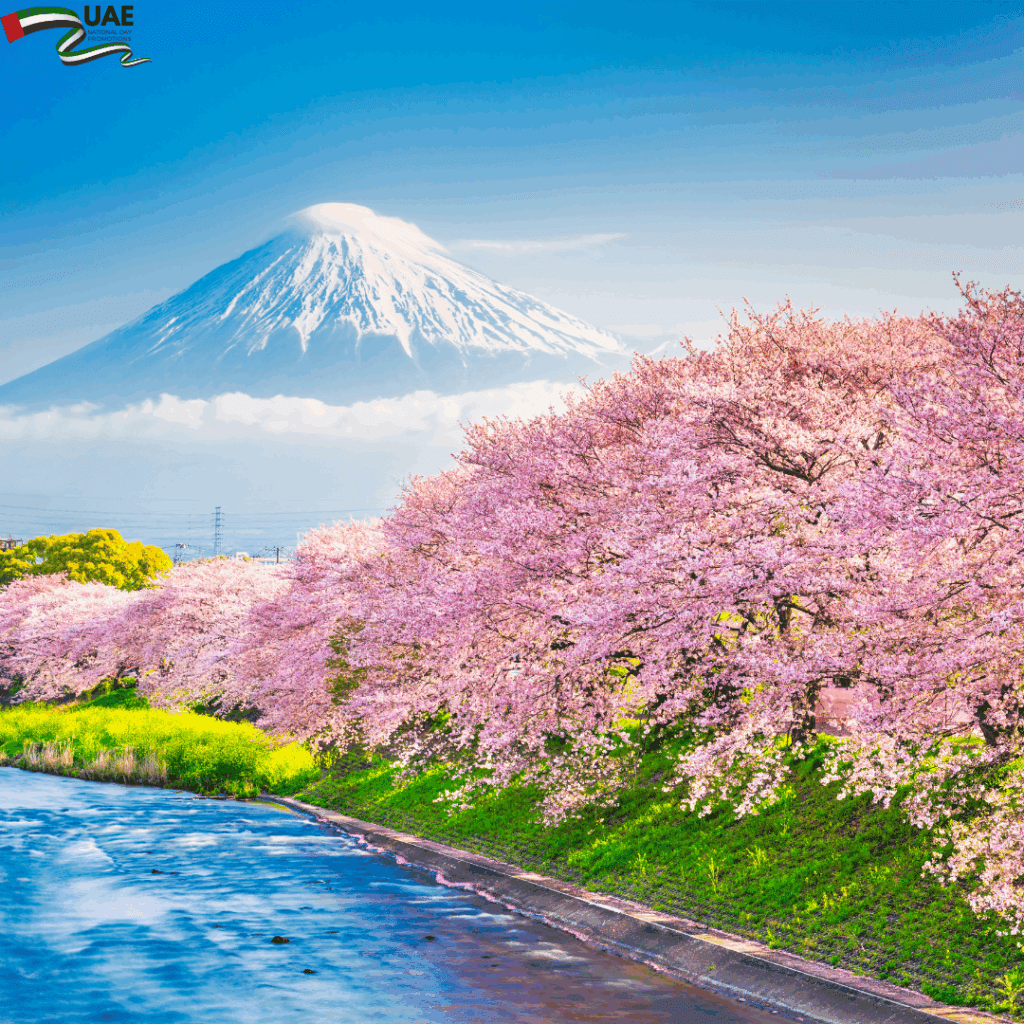 Japan National Day Package from UAE