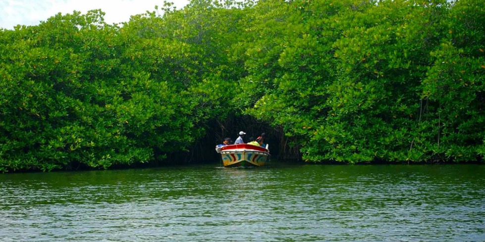 Bentota Highlights – Sri Lanka Tour