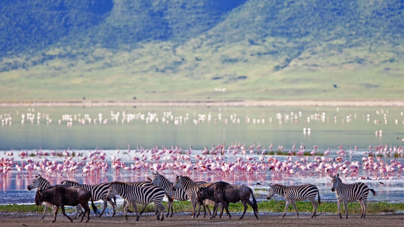 Scenic view of Ngorongoro Crater with wildlife including rhinos, buffaloes, and flamingos in Tanzania.