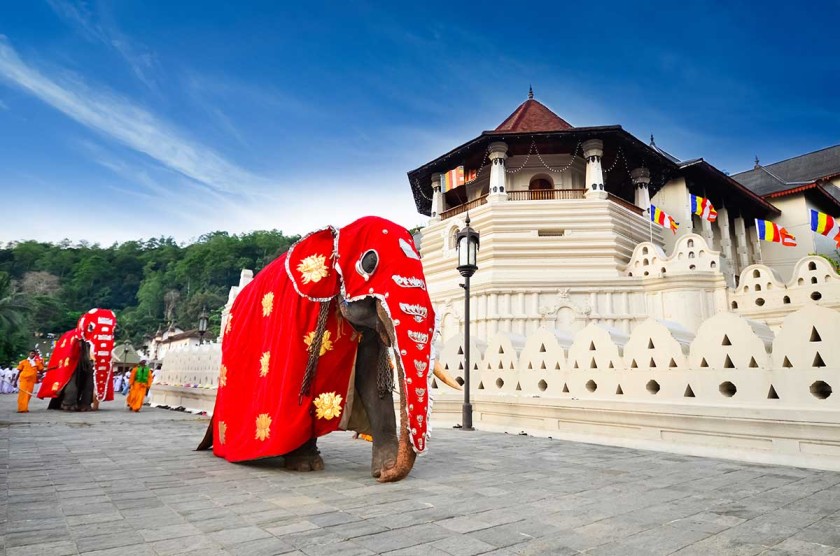Spice Garden in Matale, Royal Botanical Gardens, and Temple of the Tooth Relic in Kandy, Sri Lanka – cultural dance experience included