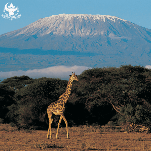 Kenya Eid Al Adha Holiday Package