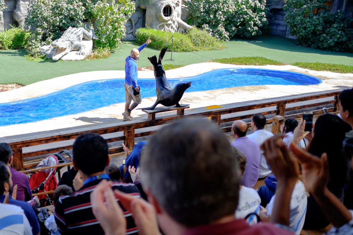 Children at Emirates Park Zoo