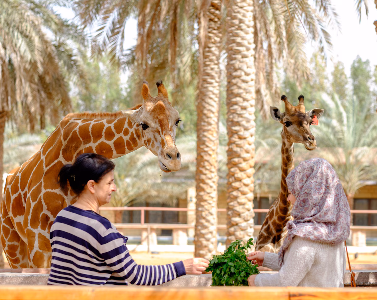Emirates Park Zoo Wildlife